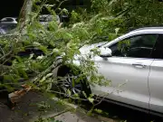 Automobile Physical Damage Coverage